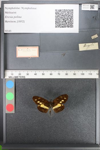 Media type: image;   Entomology 101017